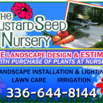 The Mustard Seed Nursery Print Ad