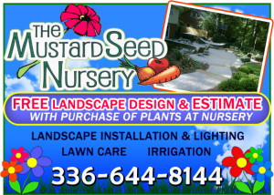 The Mustard Seed Nursery Print Ad