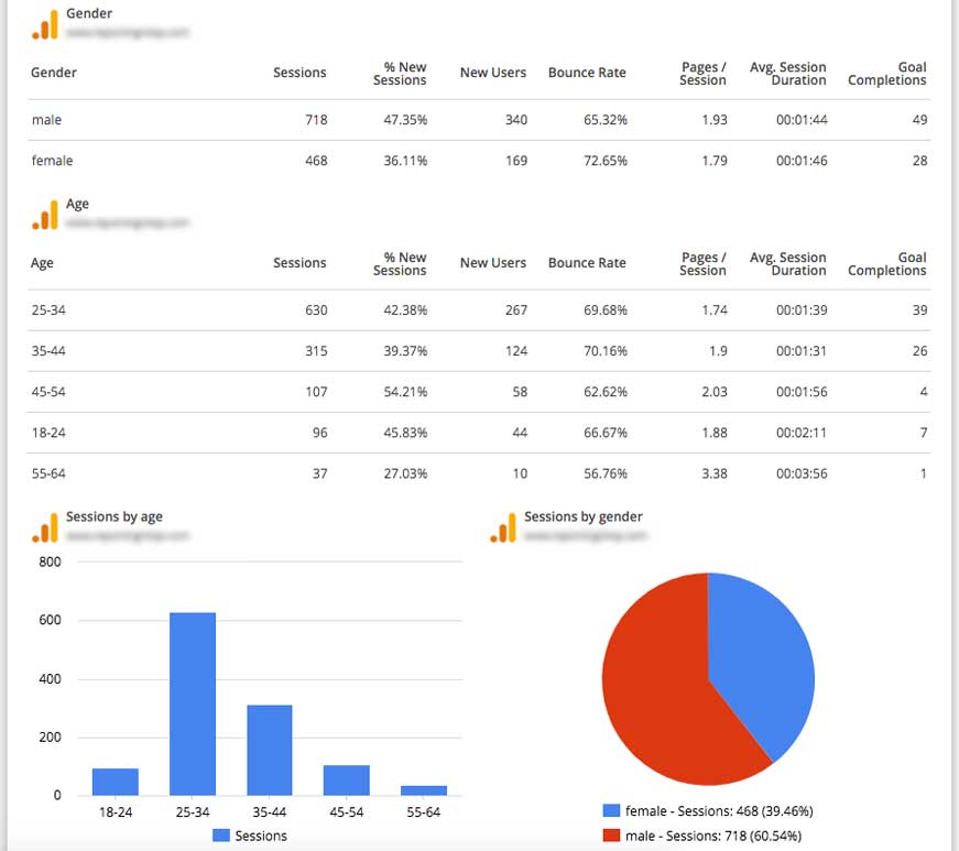 Google Analytics Demographic Data