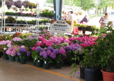 Colfax - Piedmont Triad Farmer's Market flowers